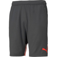 Puma pantalones cortos futbol Puma individualCUP Shorts vista frontal Puma pantalones cortos futbol Puma individualCUP Shorts vista frontal