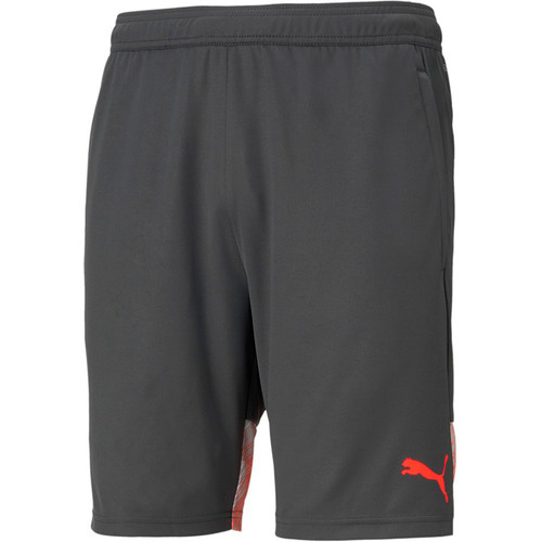 PUMA INDIVIDUALCUP SHORTS gris