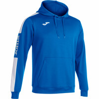 SUDADERA CON CAPUCHA CHAMPIONSHIP IV SUDADERA CON CAPUCHA CHAMPIONSHIP IV
