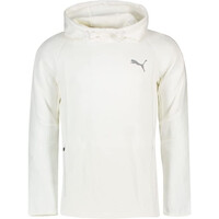 EVOSTRIPE Hoodie EVOSTRIPE Hoodie