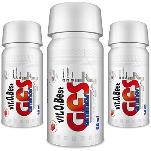 VITOBEST CAJA GFS AMINOS 20 VIALES 16,6 G
