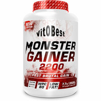 MONSTER GAINER 2200 - 3 MONSTER GAINER 2200 - 3