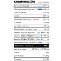 Vitobest Control De Peso Vitobest FAT BURNER 90 Caps. 01 Vitobest Control De Peso Vitobest FAT BURNER 90 Caps. 01