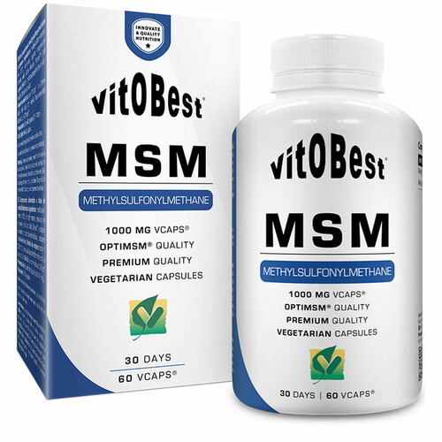 VITOBEST MSM 60 VCAPS.