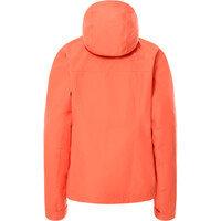 The North Face chaqueta impermeable mujer The North Face W DRYZZLE FL JKT vista trasera The North Face chaqueta impermeable mujer The North Face W DRYZZLE FL JKT vista trasera