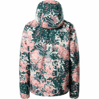 The North Face chaqueta impermeable mujer The North Face W PINECROFT TRI vista trasera The North Face chaqueta impermeable mujer The North Face W PINECROFT TRI vista trasera
