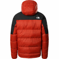 The North Face chaqueta outdoor hombre The North Face M DIABLO DWN HOOD vista trasera The North Face chaqueta outdoor hombre The North Face M DIABLO DWN HOOD vista trasera