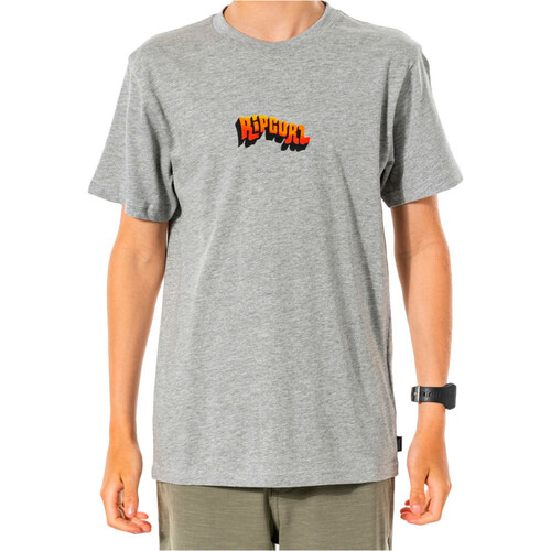 RIP CURL WAVEY LOGO TEE - BOYS gris