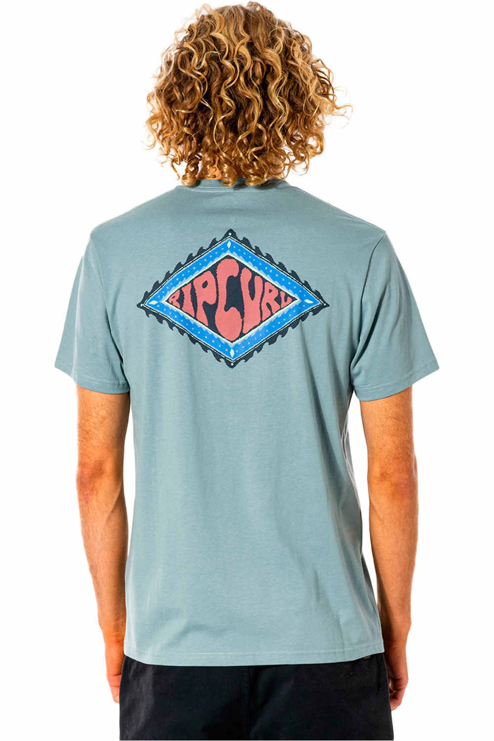 Rip Curl camiseta manga corta hombre Rip Curl SWC RUBBER SOUL TEE vista trasera Rip Curl camiseta manga corta hombre Rip Curl SWC RUBBER SOUL TEE vista trasera