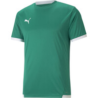 teamLIGA Jersey teamLIGA Jersey