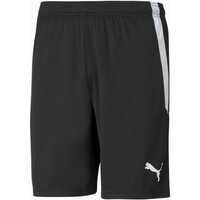 teamLIGA Shorts teamLIGA Shorts
