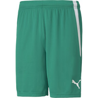 teamLIGA Shorts teamLIGA Shorts