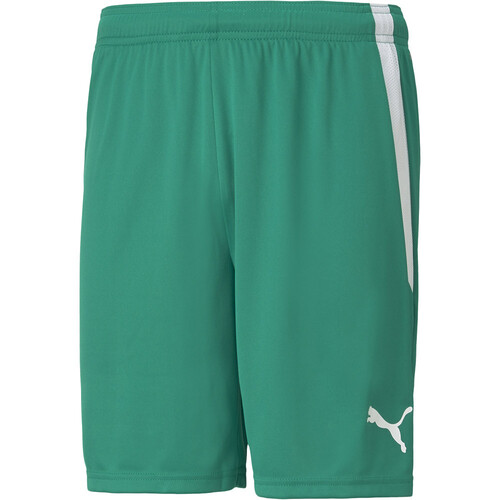 PUMA TEAMLIGA SHORTS verde