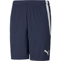 teamLIGA Shorts teamLIGA Shorts