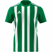 STRIPED 21 JSY STRIPED 21 JSY