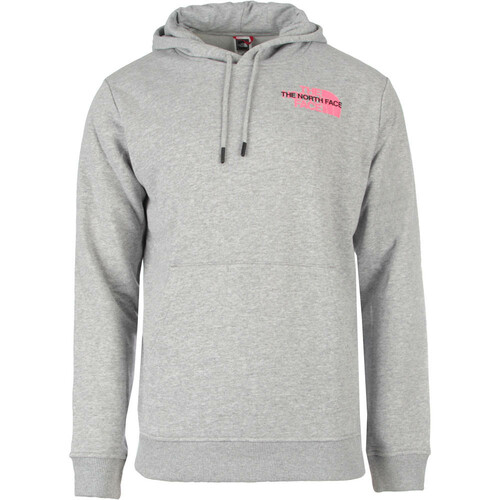 THE NORTH FACE M GRAPHIC HOODIE LIGHT gris