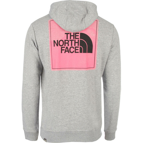 THE NORTH FACE M GRAPHIC HOODIE LIGHT gris
