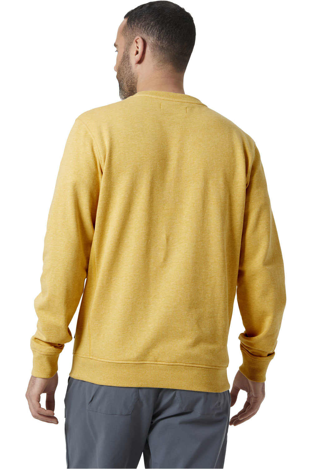 Helly Hansen Sudaderas Montaña Hombre Helly Hansen F2F ORGANIC COTTON SWEATER vista trasera Helly Hansen Sudaderas Montaña Hombre Helly Hansen F2F ORGANIC COTTON SWEATER vista trasera
