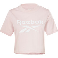 RI Crop Tee RI Crop Tee