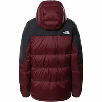The North Face chaqueta outdoor mujer The North Face W DIABLO DOWN HOODIE vista trasera The North Face chaqueta outdoor mujer The North Face W DIABLO DOWN HOODIE vista trasera