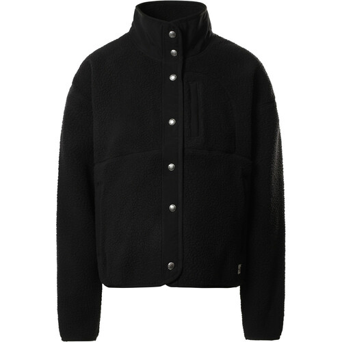 THE NORTH FACE W CRAGMONT FLEECE JACKET marron