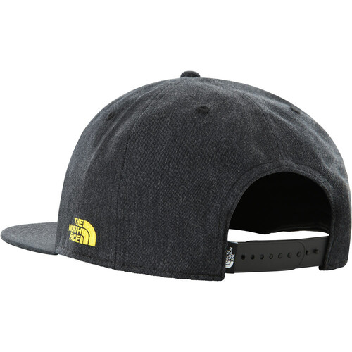 THE NORTH FACE EMBROIDERED EARTHSCAPE BALLCAP gris