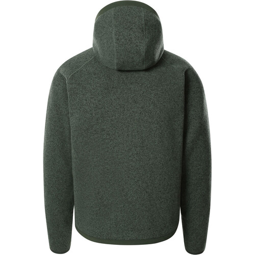 THE NORTH FACE M GORDON LYONS HOODIE verde