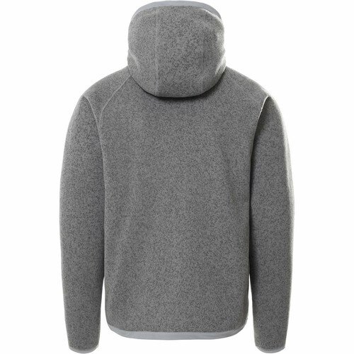 THE NORTH FACE M GORDON LYONS HOODIE gris