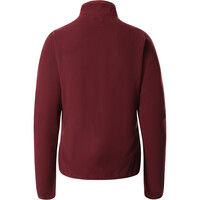 The North Face camiseta montaña manga larga mujer The North Face W 100 GLACIER 1/4 ZIP vista trasera The North Face camiseta montaña manga larga mujer The North Face W 100 GLACIER 1/4 ZIP vista trasera