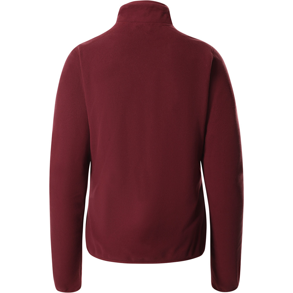 The North Face camiseta montaña manga larga mujer The North Face W 100 GLACIER 1/4 ZIP vista trasera The North Face camiseta montaña manga larga mujer The North Face W 100 GLACIER 1/4 ZIP vista trasera