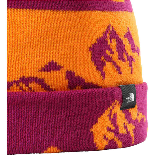 THE NORTH FACE SKI TUKE naranja