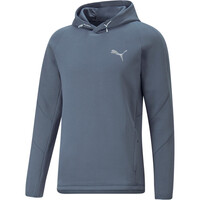 Evostripe Hoodie Evostripe Hoodie