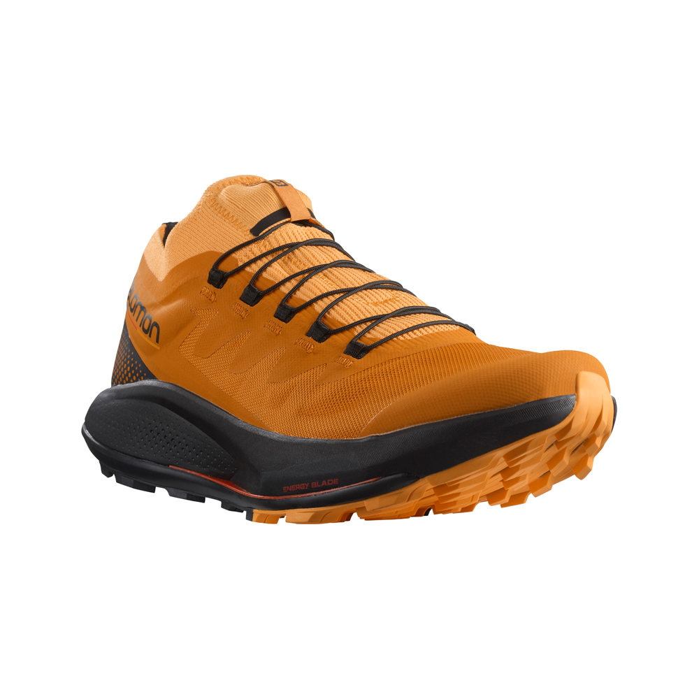 Salomon zapatillas trail hombre Salomon PULSAR TRAIL/PRO puntera Salomon zapatillas trail hombre Salomon PULSAR TRAIL/PRO puntera