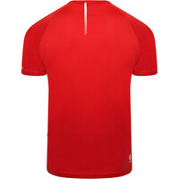 Dare2b camisetas trail running manga corta hombre Dare2b Righteous III Tee vista detalle Dare2b camisetas trail running manga corta hombre Dare2b Righteous III Tee vista detalle