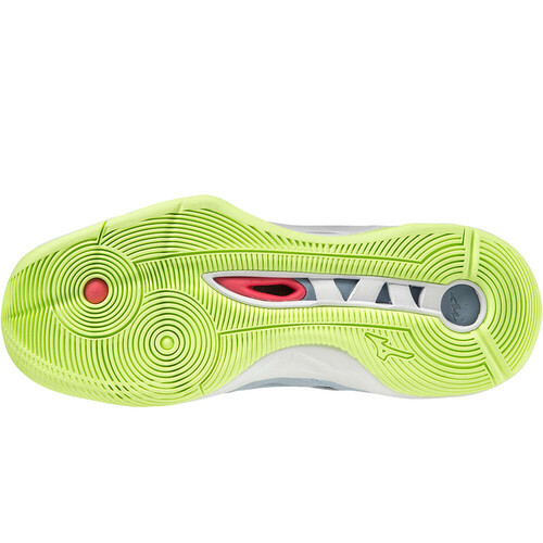MIZUNO WAVE MOMENTUM 2 (W) gris