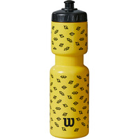 MINIONS WATER BOTTLE MINIONS WATER BOTTLE