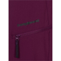 Trango pantalón montaña hombre Trango PANT. LARGO KRIVAN vista trasera Trango pantalón montaña hombre Trango PANT. LARGO KRIVAN vista trasera
