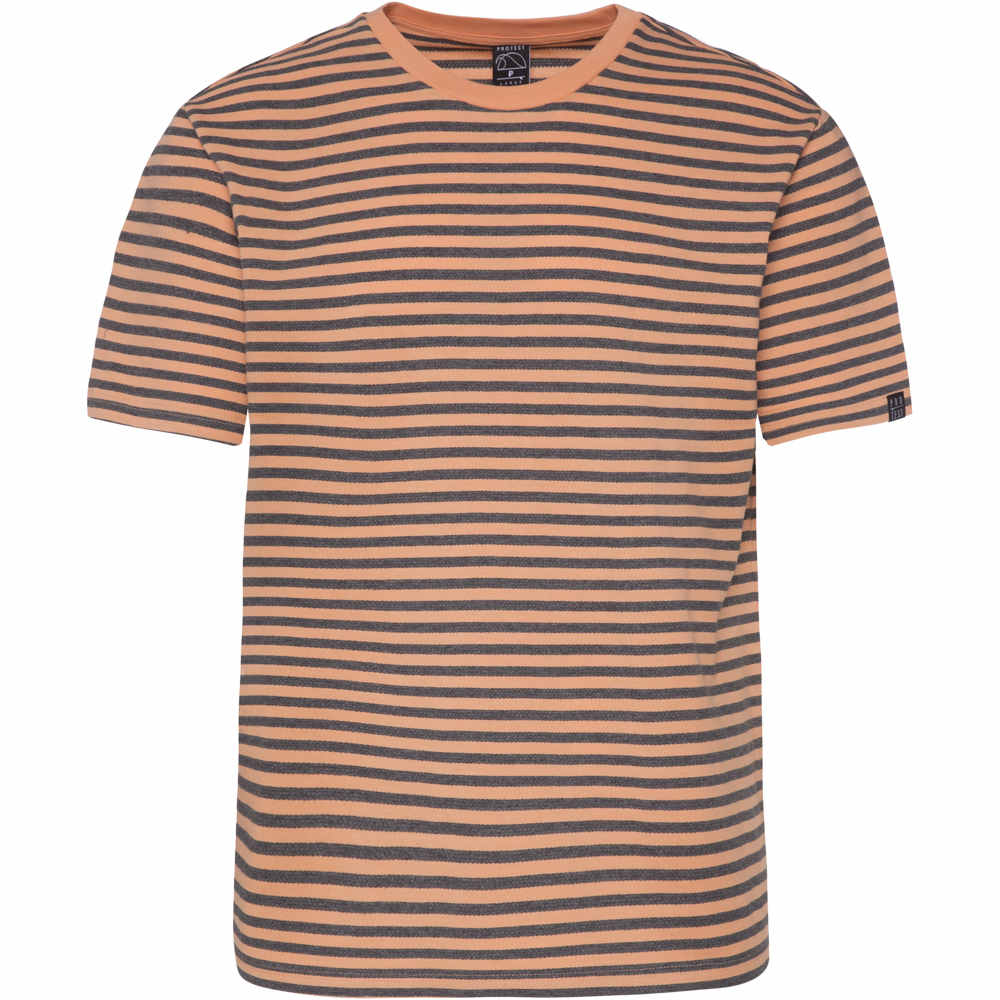 Protest camiseta manga corta hombre Protest PRTVALDEMAR vista detalle Protest camiseta manga corta hombre Protest PRTVALDEMAR vista detalle