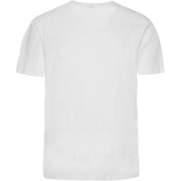 Protest camiseta manga corta hombre Protest PRTJUDOC 03 Protest camiseta manga corta hombre Protest PRTJUDOC 03
