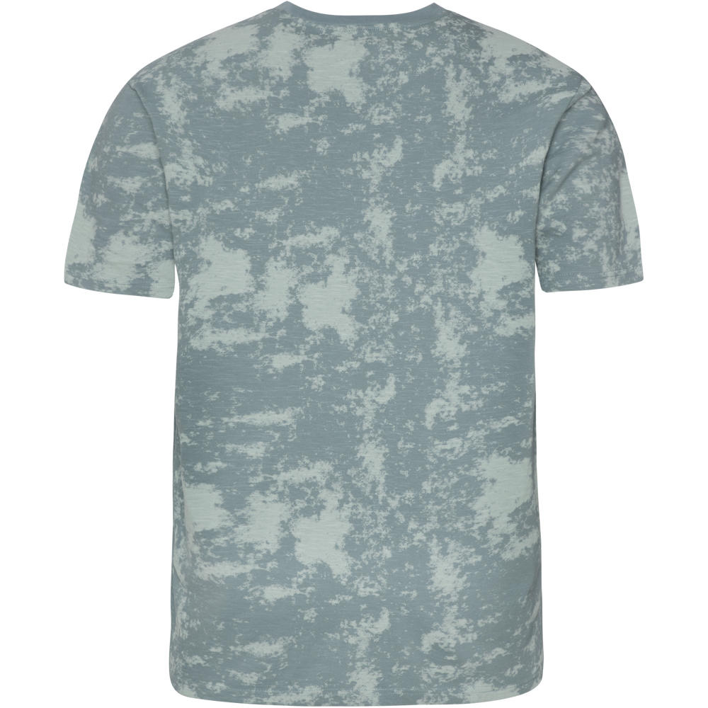 Protest camiseta manga corta hombre Protest PRTXANTIAGO vista trasera Protest camiseta manga corta hombre Protest PRTXANTIAGO vista trasera
