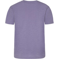 Protest camiseta manga corta hombre Protest PRTBRADIE 03 Protest camiseta manga corta hombre Protest PRTBRADIE 03