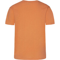 Protest camiseta manga corta hombre Protest PRTBRADIE 03 Protest camiseta manga corta hombre Protest PRTBRADIE 03