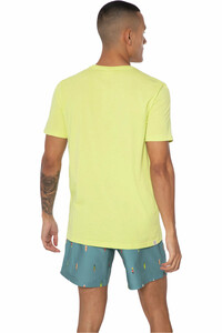 Protest camiseta manga corta hombre Protest PRTCAARLO vista trasera Protest camiseta manga corta hombre Protest PRTCAARLO vista trasera