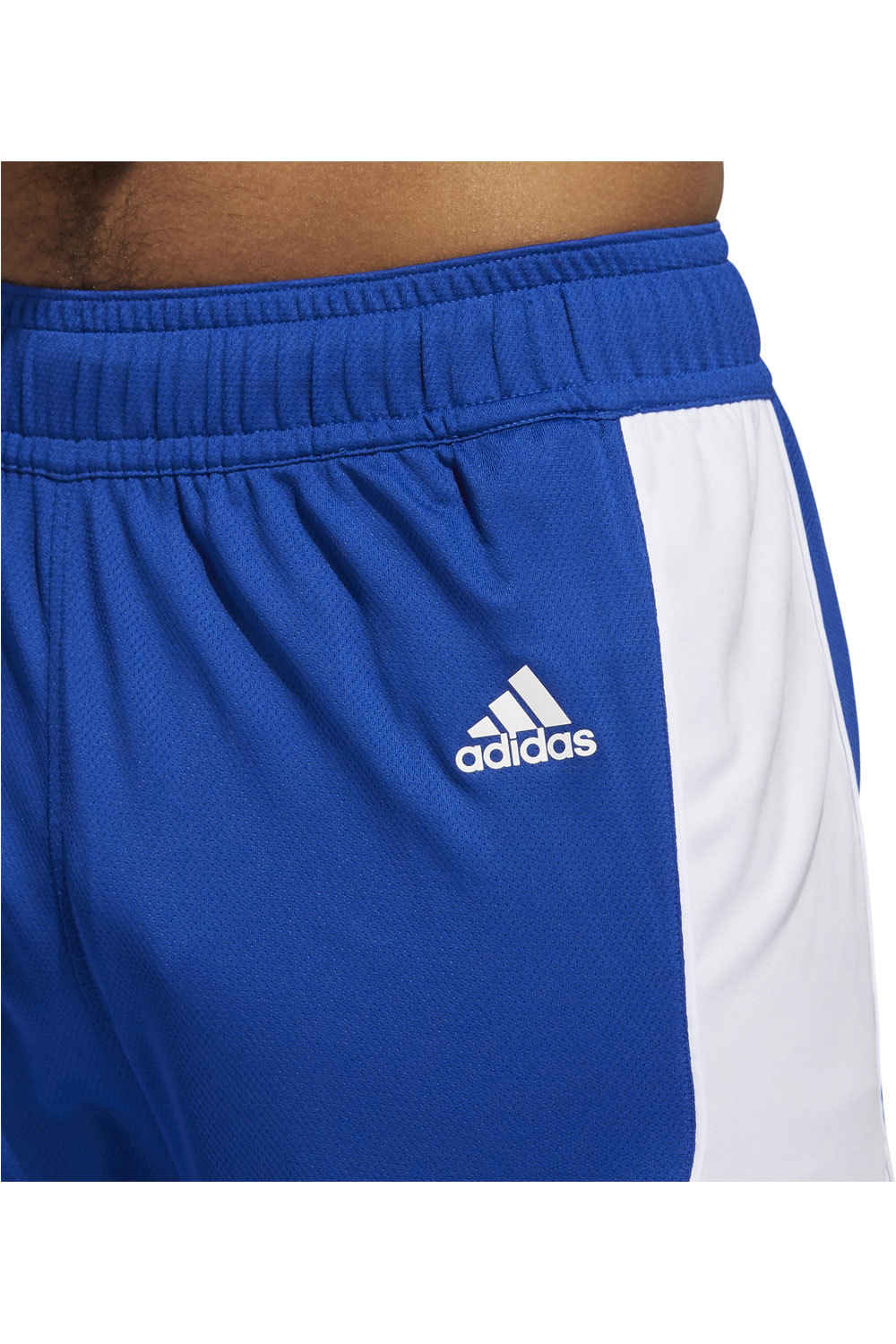adidas pantalón baloncesto Adidas NXT PRM M SHRT vista detalle adidas pantalón baloncesto Adidas NXT PRM M SHRT vista detalle