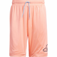 BIG LOGO SHORT RS BIG LOGO SHORT RS