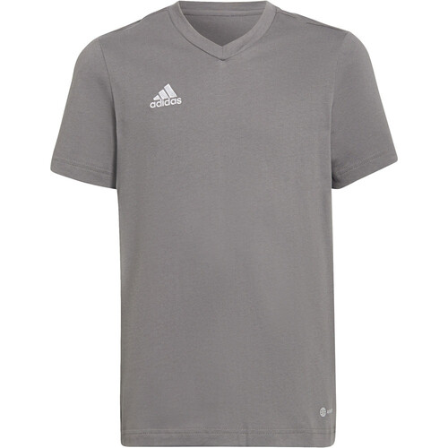 ADIDAS ENT22 TEE Y gris
