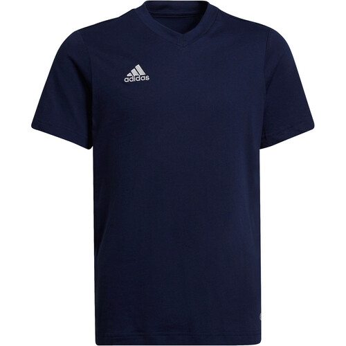 ADIDAS ENTRADA 22 azul