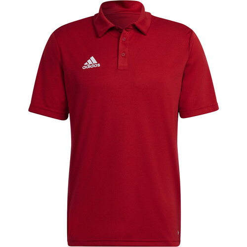 ADIDAS ENT22 POLO rojo