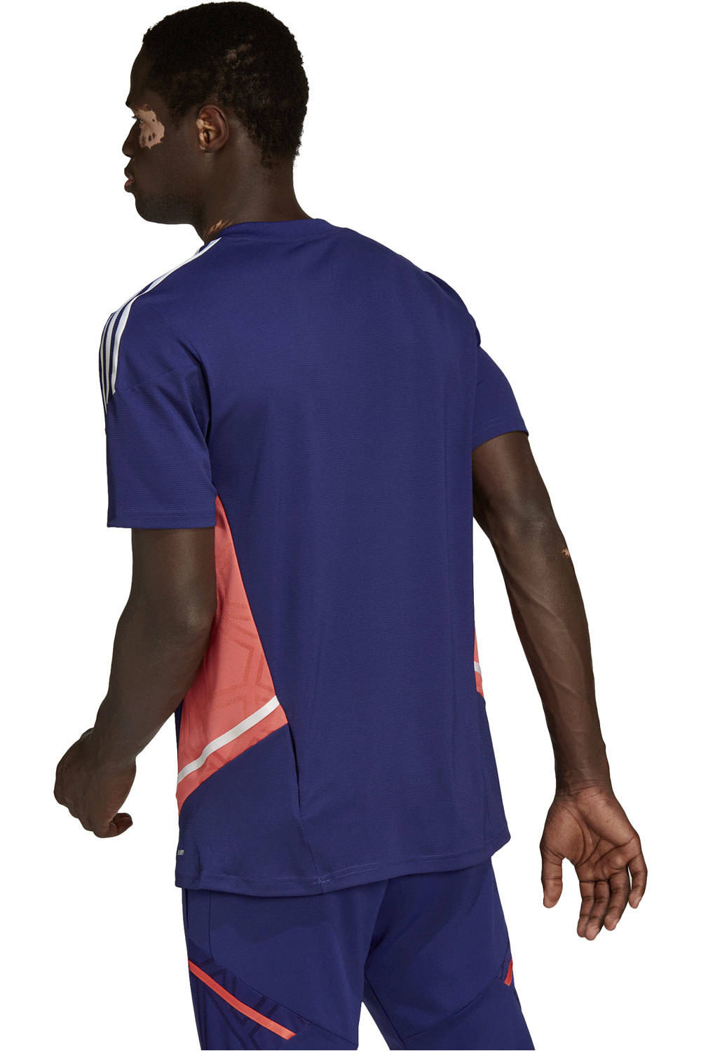 adidas camisetas fútbol manga corta Adidas CON JSY PRED AZ vista trasera adidas camisetas fútbol manga corta Adidas CON JSY PRED AZ vista trasera