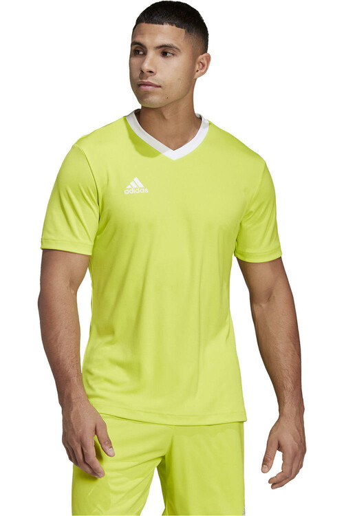 ADIDAS ENTRADA 22 amarillo